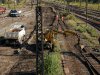 chtz-hbf-blick-v-stw-b3-demontage-der-ehem-w42-mit-bagger-08-09-2009