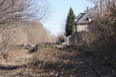 Gleis Richtung Hainstraße