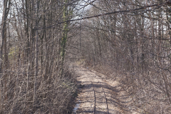 Gleis Richtung Burgstädter Straße