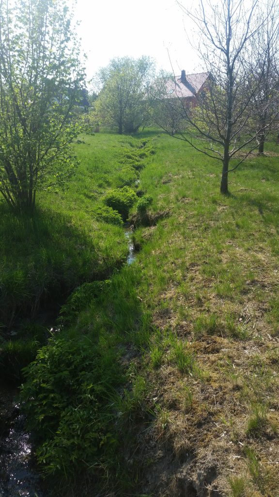 Chemnitz Adelsberg Niederhermsdorfer Bach